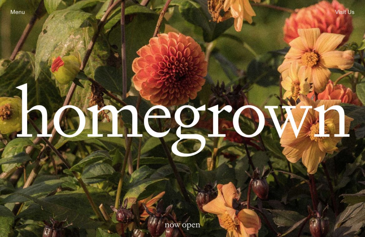 14-homegrown_c764524587aa464c671576b8540b19f1